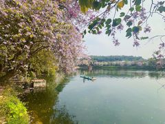 -星湖旅游景区七星岩