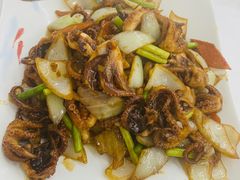 酱爆八爪鱼-北戴河庆山饭店·海鲜砂锅粥(北戴河黑石路店)