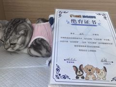 -达爱动物医院·犬猫分区·CT·复杂眼科(远洋山水分院)