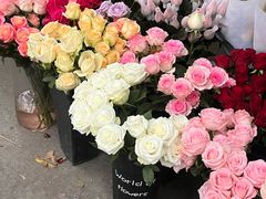 -桂林市花鸟市场