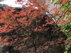 -钓鱼台国宾馆