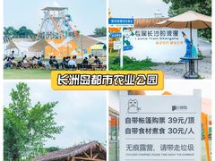 -长洲岛