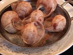 松露蜗牛-金蜗牛