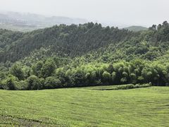 -敬亭山风景名胜区