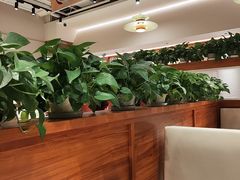 -姥姥家春饼店(惠新东街店)