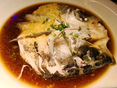 鱼头诱惑-绿茶餐厅(成都万象城店)