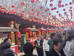 -爱新觉罗皇家博物院