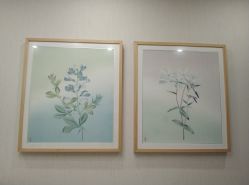 -颜蕾医美·黄金微针·水光·玻尿酸·超声炮·抗衰中心