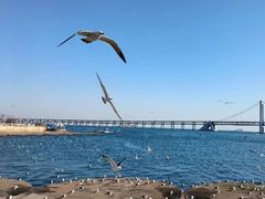 -星海广场