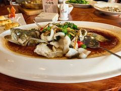 -顺德了能馆(虎门店)