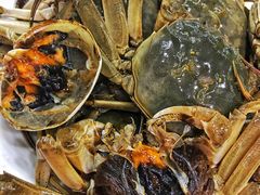 -红灯笼龙凤饭店(宁波老字号店)