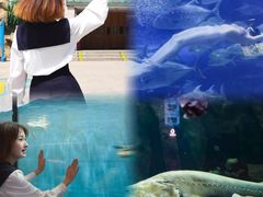 -华夏文旅西安度假区