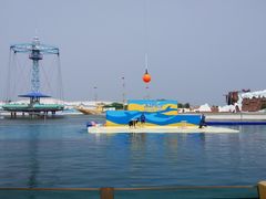 -秦皇岛乐岛海洋王国