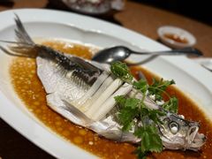 -宁波柏悦酒店·钱湖渔港