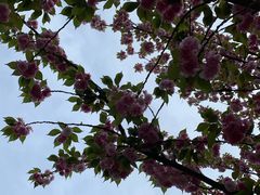 -苏州河梦清园环保主题公园