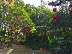 -三水森林公园