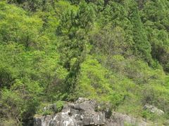 -焦作青龙峡风景名胜区