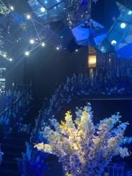 -格乐利雅婚礼艺术中心(南外滩店)