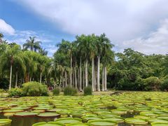 -中国科学院西双版纳热带植物园