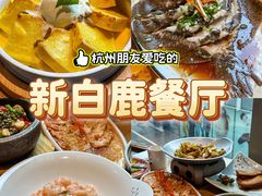 -新白鹿餐厅(城西银泰城店)