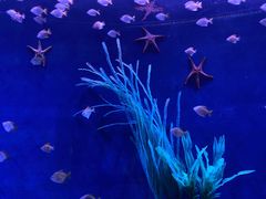 -沈阳海洋探索中心