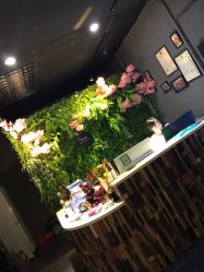 -藤野造型·专业烫染店