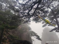 -黄山风景区