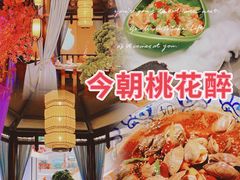 -今朝桃花醉川菜小酒馆(龙湖天街店)