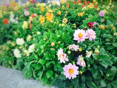 -东北师范大学(净月大街校区)