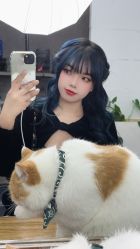 -蚂蚁造型俱乐部