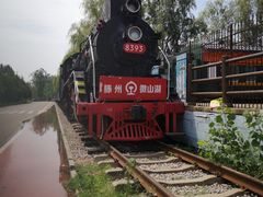 -微山湖红荷湿地景区