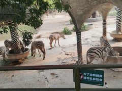 -深圳野生动物园