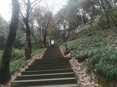 -峙山公园