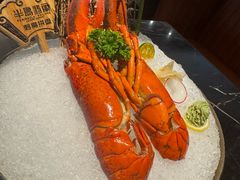 -半岛翡丽海鲜自助餐厅(观风亭店)