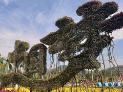 -东南花都花博园