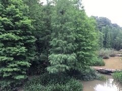 -云溪植物园