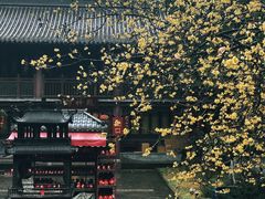 -灵谷景区
