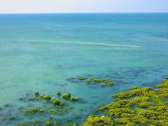 -北海金海湾红树林生态旅游区