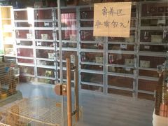 -藦茜花园宠物主题亲子互动体验馆(国顺东路店)