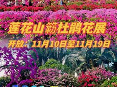 -莲花山公园
