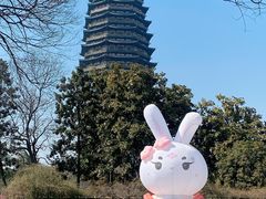-红梅公园