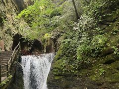 -牛背梁国家森林公园