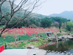 -广州市石门国家森林公园