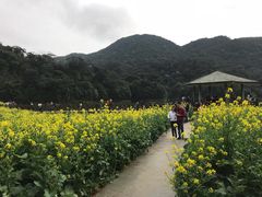 -广州市石门国家森林公园