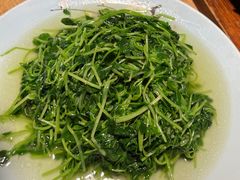 蒜蓉菜苗-渝人码头 川菜店 Chungking Szechuan Cuisine