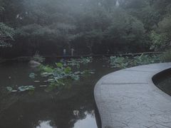-燕晗山郊野公园