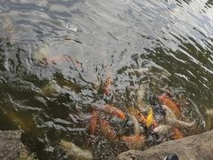 -珠海圆明新园
