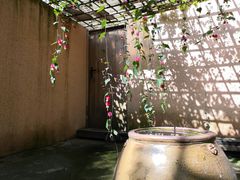 -乐领拈花溪·林涧食韵