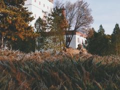 -普陀宗乘之庙(小布达拉宫)