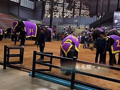 -是拉差龙虎园(Permanently closed)
